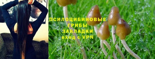 спиды Осинники