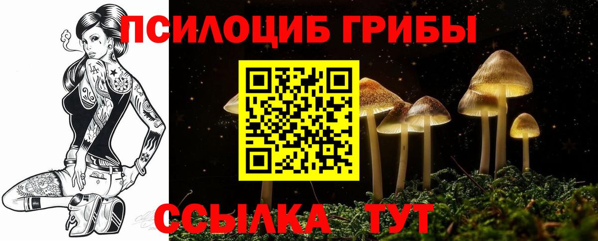Североуральск  Псилоцибиновые грибы ЛСД  Вход с VPN 